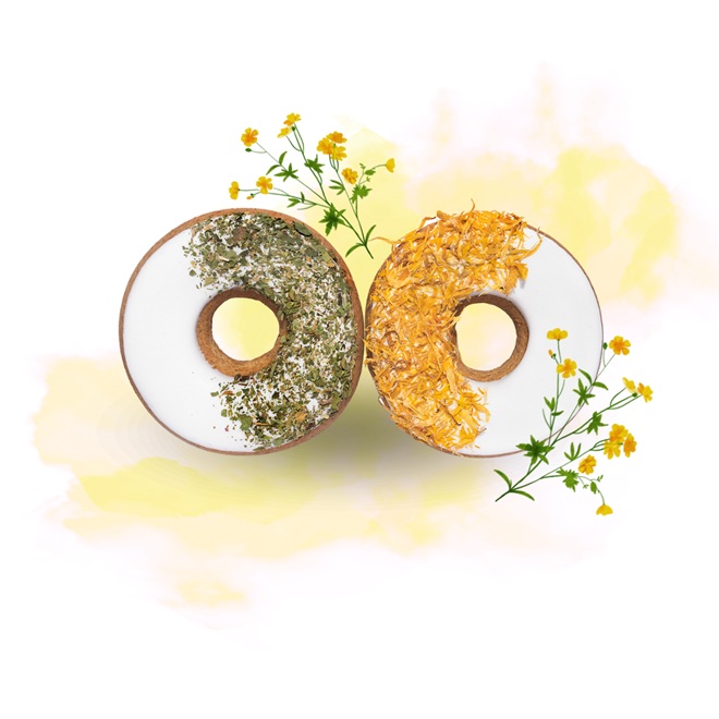 BISCOTTI GLASSATI DONUTS CALENDULA + PREZZEMOLO CANDY HORSE  